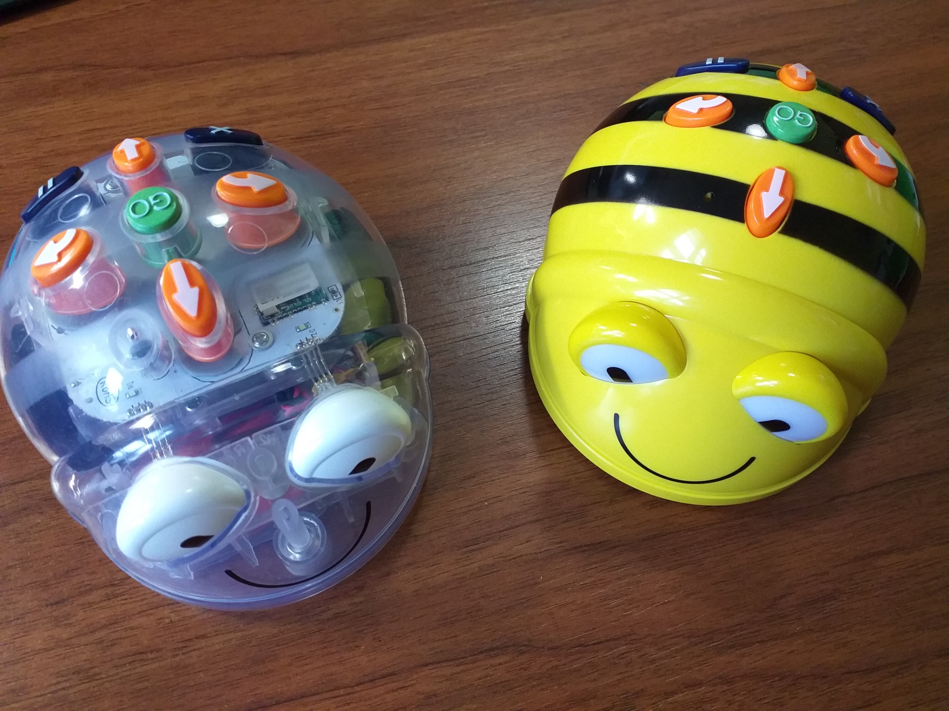 Beebot a bluebot v lysické knihovně